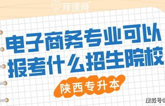 陕飞招电子商务专业的吗