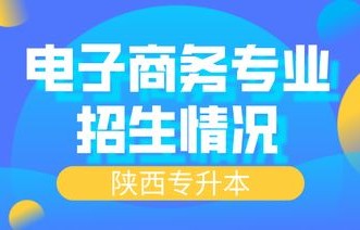 电子商务专生本的专业