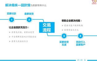 电子商务平台专业服务商