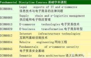 电子商务考研咋选专业呢