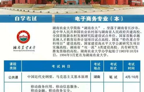 电子商务专业能考的大学