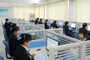 电子商务专业里有金融吗