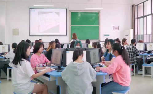 如何学会电子商务会计专业