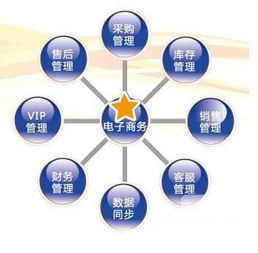 自我鉴定之电子商务专业
