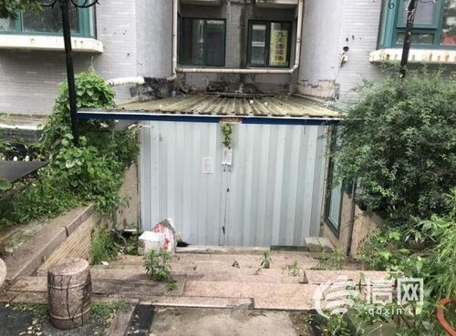 男子将地下室改成大鱼池，邻居崩溃，噪音、异味、安全隐患，生活如何继续？